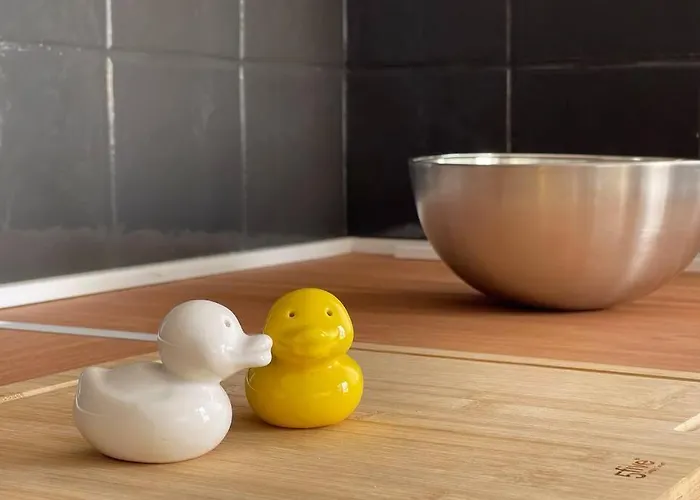 Your Urban * 科拉雷侯